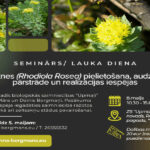 Bioloģiskā saimniecība “Upmaļi” aicina uz lauka dienu par Zeltsaknes pielietošanu, audzēšanu, pārstrādi un realizācijas iespējām